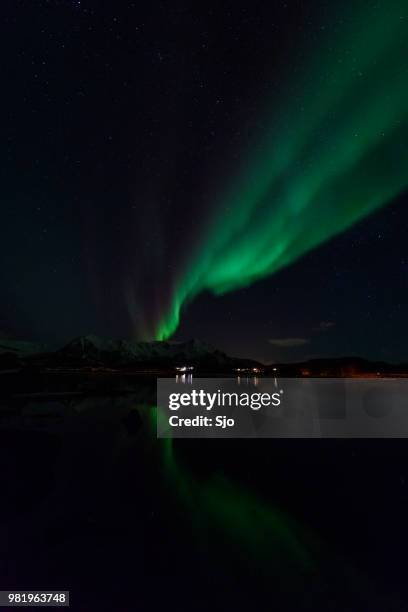 noorderlicht, aurora borealis over noord-noorwegen in de winter - sjoerd van der wal or sjo stockfoto's en -beelden