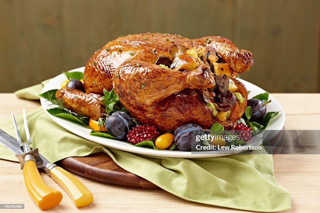 Roasted holiday turkey