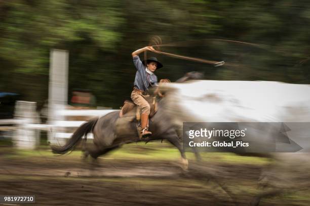 rodeo - brazil (rodeo crioulo) - gaucho festival stock pictures, royalty-free photos & images