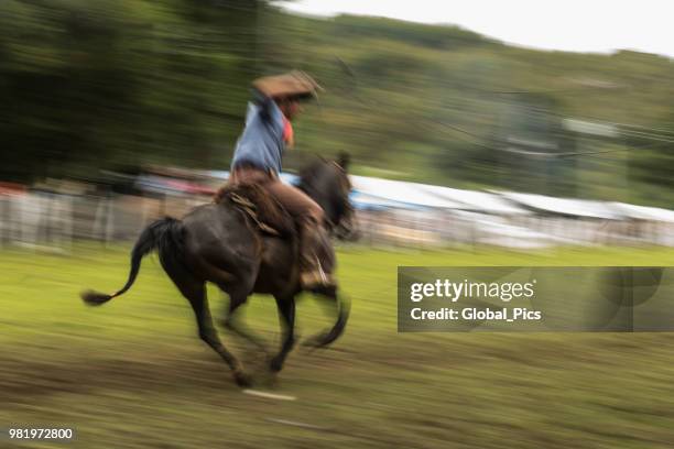 rodeo - brazil (rodeo crioulo) - gaucho festival stock pictures, royalty-free photos & images