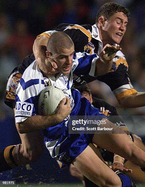 Luke Patten of the Bulldogs iin action during the NRL match between the Wests Tigers and Bulldogs played at Campbelltown Stadium, Sydney Australia....