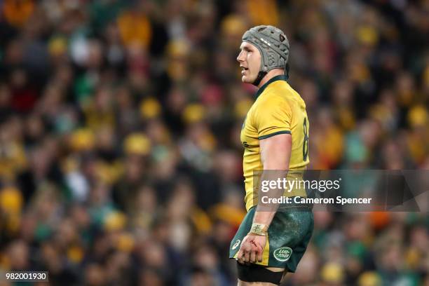 David Pocock of the Wallabies looks on during the Third International Test match between the Australian Wallabies and Ireland at Allianz Stadium on...