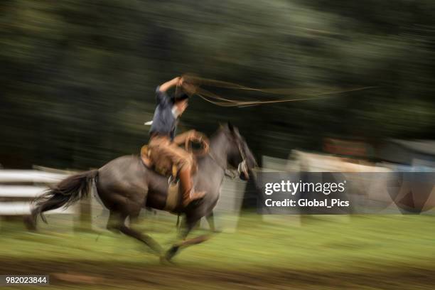 rodeo - brazil (rodeo crioulo) - gaucho festival stock pictures, royalty-free photos & images