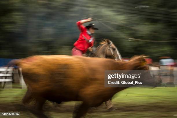 rodeo - brazil (rodeo crioulo) - gaucho festival stock pictures, royalty-free photos & images