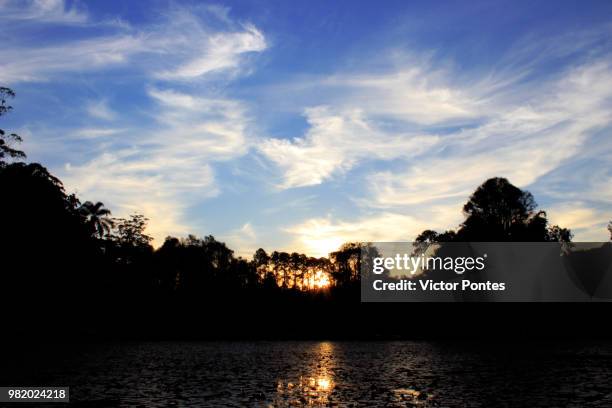 sol e silhueta. - silhueta stockfoto's en -beelden