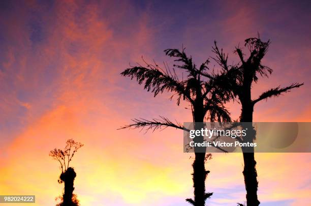 nuvens e silhueta. - silhueta stockfoto's en -beelden