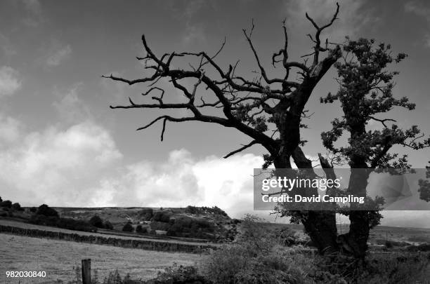 29 David Campling Stock Photos, High-Res Pictures, and Images - Getty ...