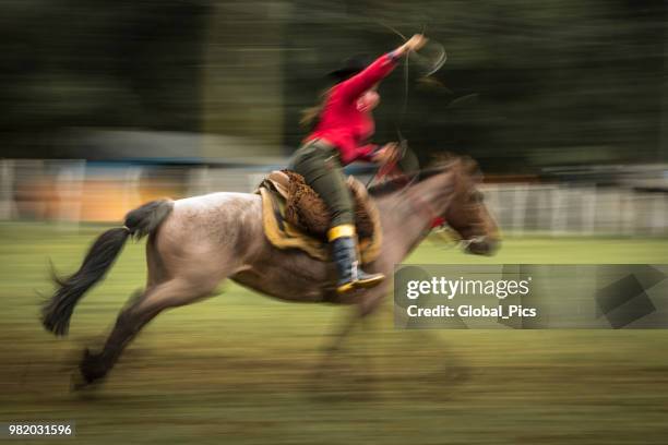 rodeo - brazil (rodeo crioulo) - gaucho festival stock pictures, royalty-free photos & images