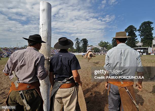 Gaucho rides a colt as others look on during a rodeo at the Patria Grande, a festival held every Semana Criolla , also called Easter Week, at the...