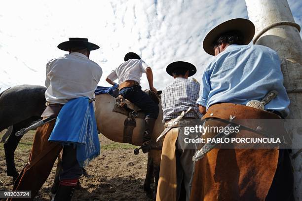 Gaucho gets ready to ride a colt in a rodeo at the Patria Grande, a festival held every Semana Criolla , also called Easter Week, at the Rural del...