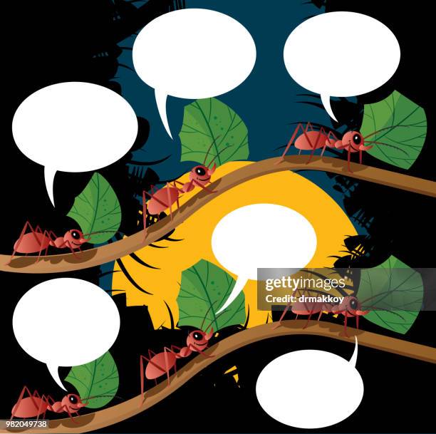 Ants Collaboration Photos and Premium High Res Pictures - Getty Images