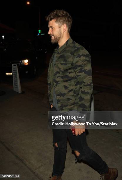 Nick Viall is seen on June 22, 2018 in Los Angeles, California.