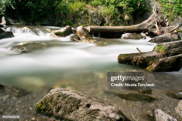 fresh water - nickola beck stock pictures, royalty-free photos & images