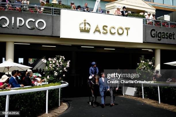 Horses in the unsaddling area on day 5 of Royal Ascot at Ascot Racecourse on June 23, 2018 in Ascot, England.