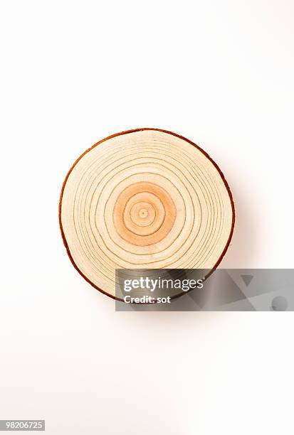 an annual ring - tree rings stock pictures, royalty-free photos & images