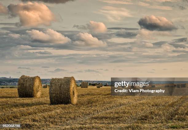 sunset france - vlam fotografías e imágenes de stock