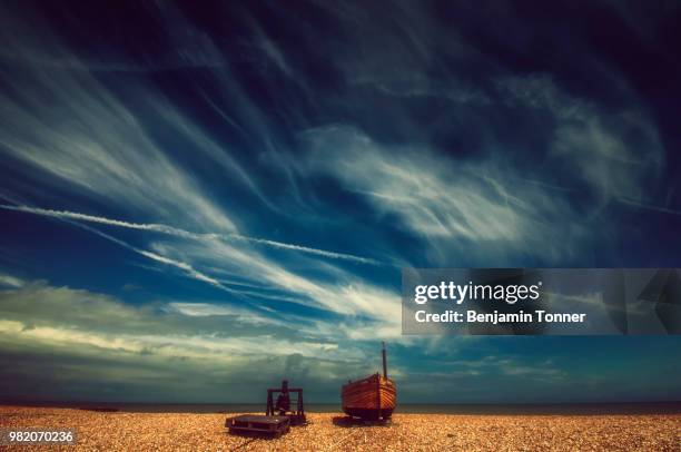 sparrow - tonner stock pictures, royalty-free photos & images