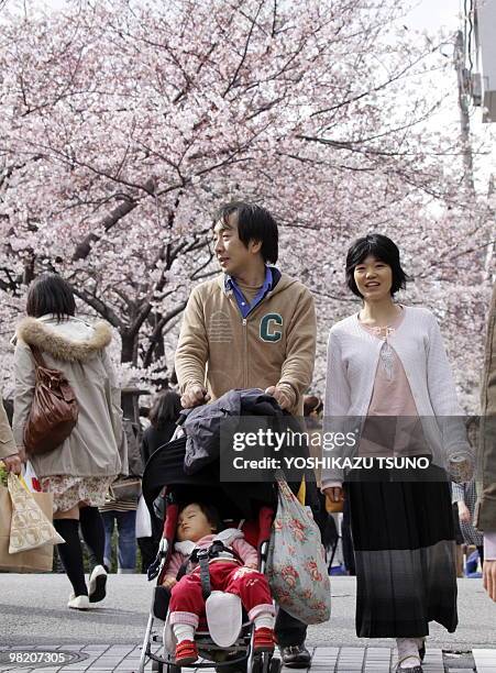 Japanese families stroll under blooming cherry trees on a riverside promenade in Tokyo on April 1, 2010. Japan's meteorological agency announced that...