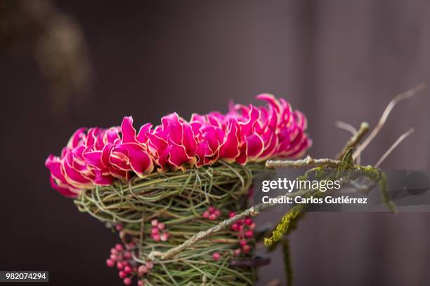 adorno floral - adorno floral 個照片及圖片檔