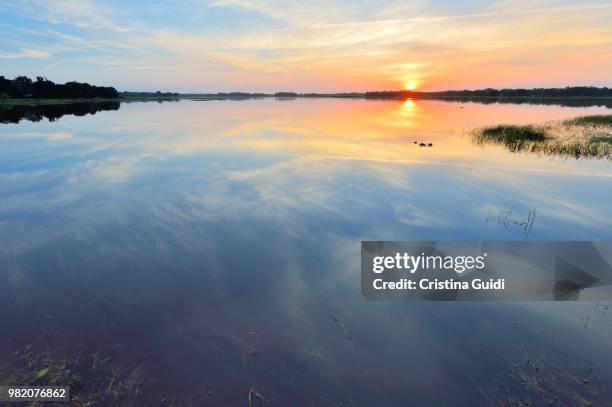 hernando lake sunrise - cristina marino foto e immagini stock