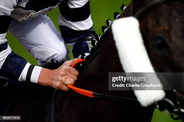 Horses run in the Queen Alexandra Stakes on day 5 of Royal Ascot at Ascot Racecourse on June 23, 2018 in Ascot, England.