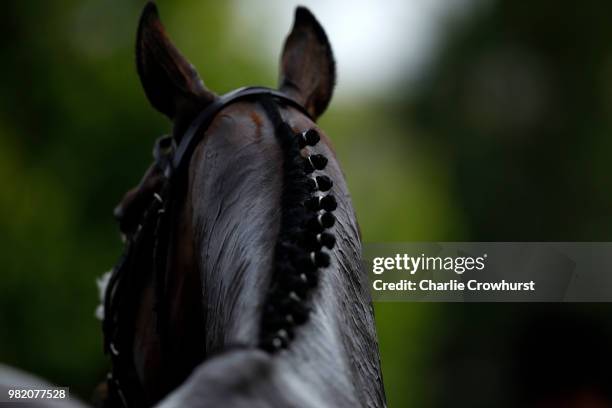 Horses on day 5 of Royal Ascot at Ascot Racecourse on June 23, 2018 in Ascot, England.