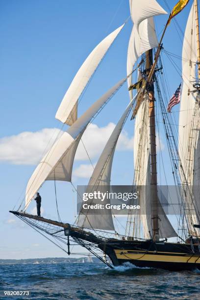 pride of baltimore ii racing, gloucester harbor - greg pease stock-fotos und bilder