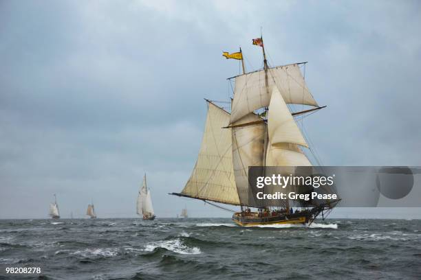pride of baltimore ii racing on the chesapeake bay - groot zeilschip stockfoto's en -beelden