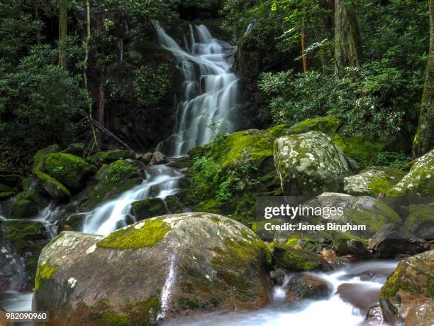 Mouse Rivver 529 Mouse River Stock Photos, High-Res Pictures, and Images - Getty Images