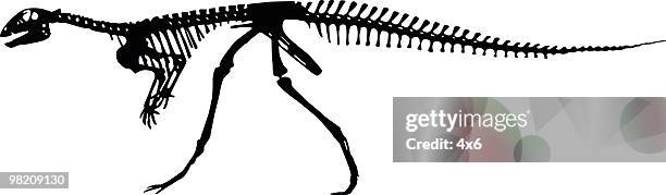 dinosaurs skeleton - caveman stock illustrations
