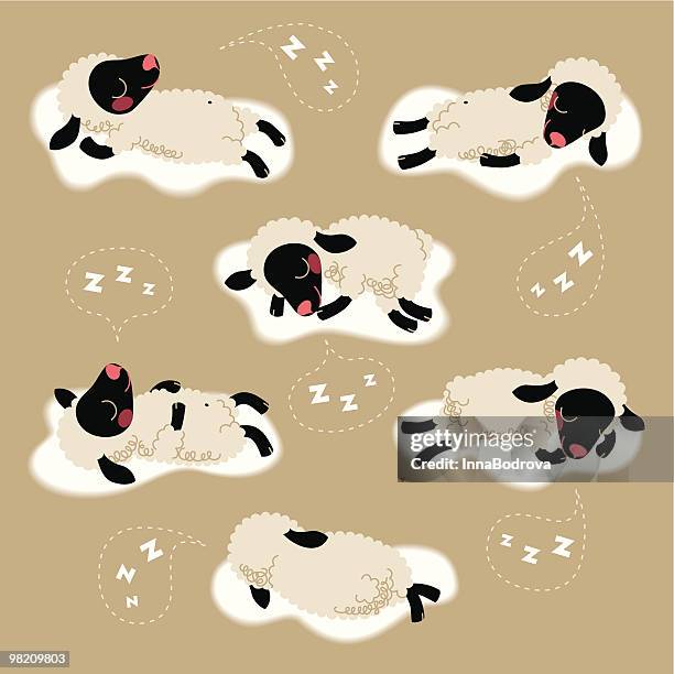 the sheep sleep. - sleeping sheep stock illustrations