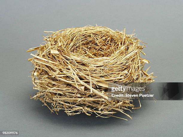 empty gold nest - birds nest stock pictures, royalty-free photos & images