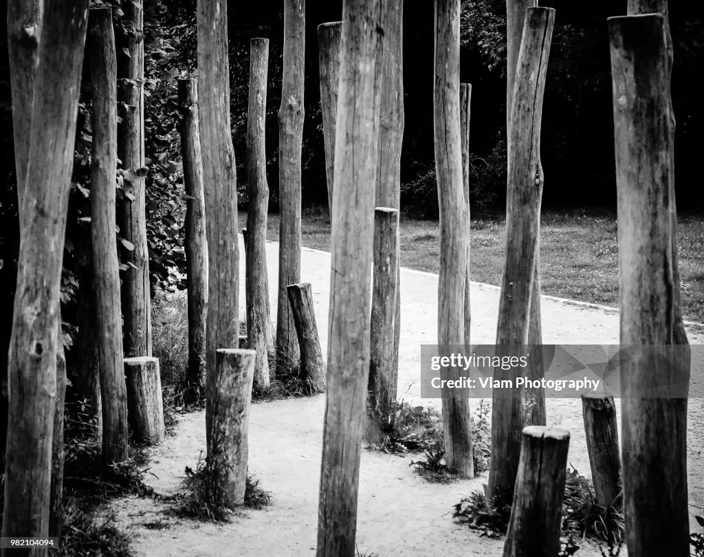 Dead wood