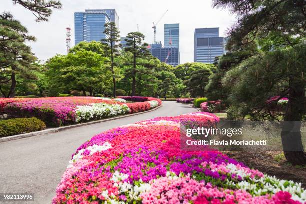 Azalea Path 332 Azalea Path Stock Photos, High-Res Pictures, and Images - Getty Images