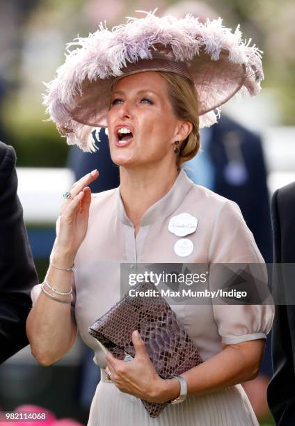 Sophie, Countess of Wessex reacts as she watches Frankie Dettori ride 'Stradivarius' to victory in The Gold Cup on day 3 'Ladies Day' of Royal Ascot...