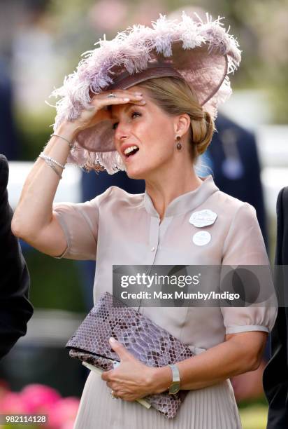 Sophie, Countess of Wessex reacts as she watches Frankie Dettori ride 'Stradivarius' to victory in The Gold Cup on day 3 'Ladies Day' of Royal Ascot...