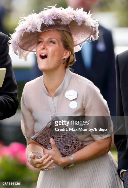 Sophie, Countess of Wessex reacts as she watches Frankie Dettori ride 'Stradivarius' to victory in The Gold Cup on day 3 'Ladies Day' of Royal Ascot...