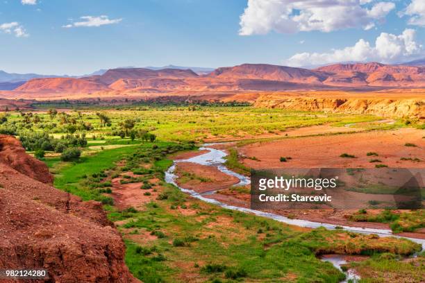 fertile river valley in north africa - morocco - high atlas morocco stock pictures, royalty-free photos & images