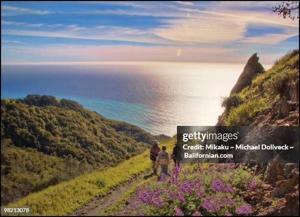 secret spot ragged point hike - big sur stock pictures, royalty-free photos & images
