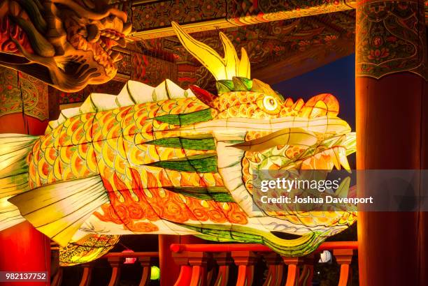 bongeunsa temple - festival float stock pictures, royalty-free photos & images