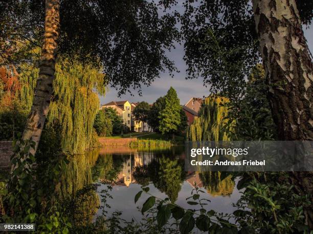 teich in der abendsonne - teich stock pictures, royalty-free photos & images