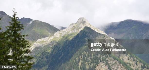 cime di passiria sopra moso - sopra stock-fotos und bilder