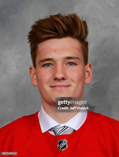 Ryan Reely 187 Ryan Oreilly Portrait Stock Photos, High-Res Pictures, and Images ...