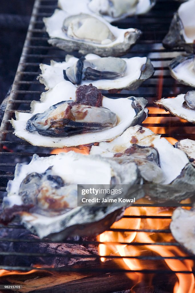 Oysters on the barbeque