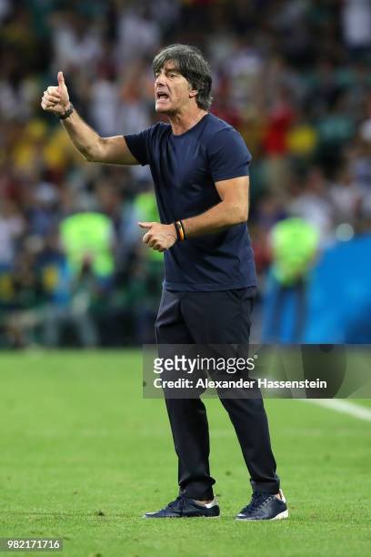 Joachim Loew, Manager of Germany celebrates his team second goal during the 2018 FIFA World Cup Russia group F match between Germany and Sweden at...