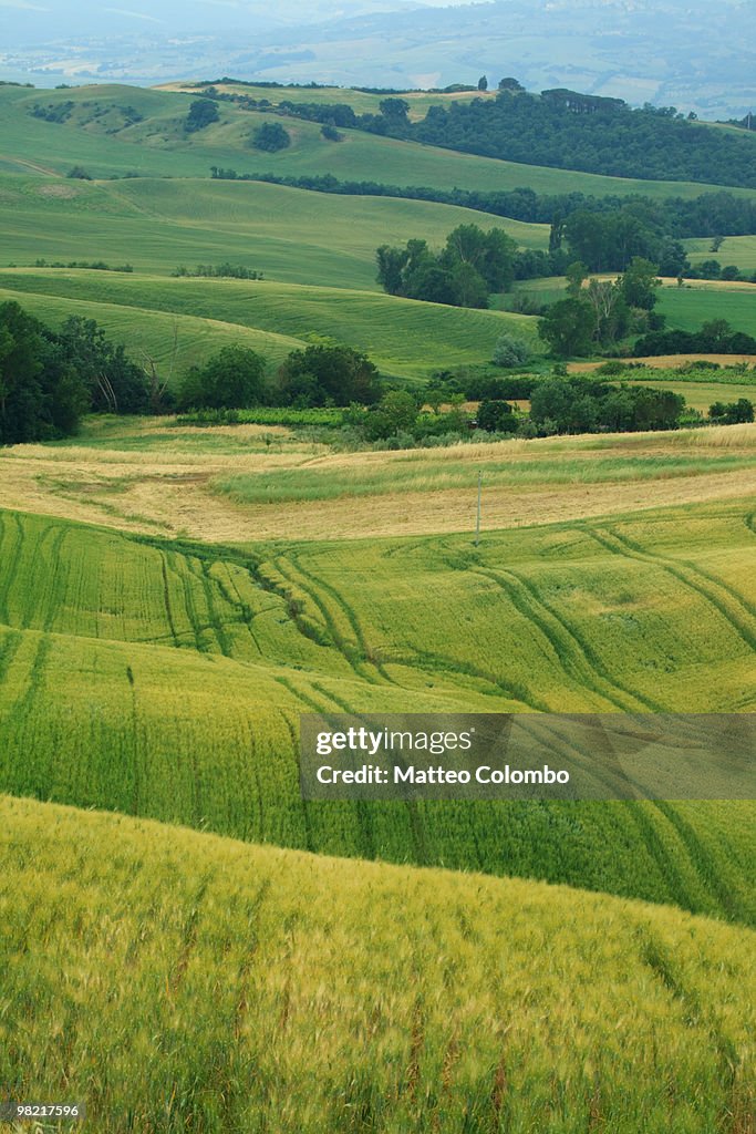 Typical rolling landscape in Tuscany, Italy