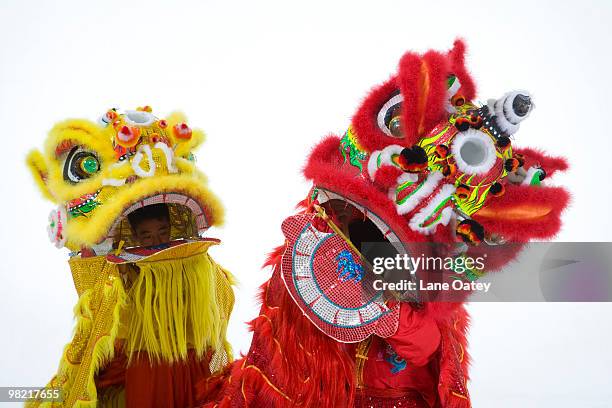 chinese traditional lion dancing - imitazione-di-animali foto e immagini stock