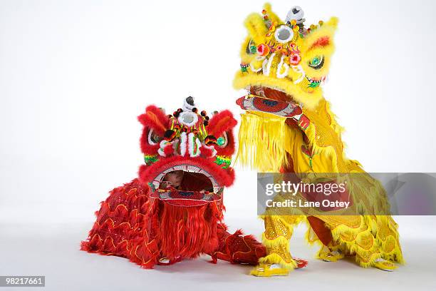 chinese traditional lion dancing - animal imitation stock pictures, royalty-free photos & images