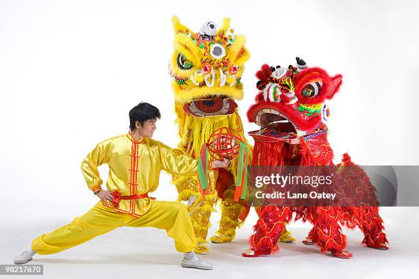 chinese traditional lion dancing - imitazione-di-animali foto e immagini stock