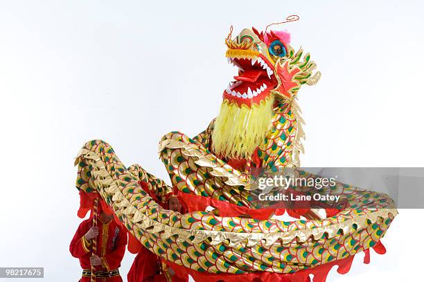 chinese traditional lion dancing - djurimitation bildbanksfoton och bilder